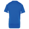 Phoenix IM keepersshirt JR inclusief logo - Afbeelding 3
