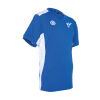 Phoenix IM keepersshirt JR inclusief logo - Afbeelding 2