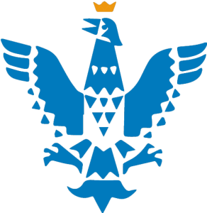 Phoenix hockey aangepast