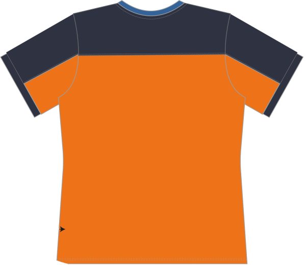 Phoenix uit shirt - heren - Afbeelding 2